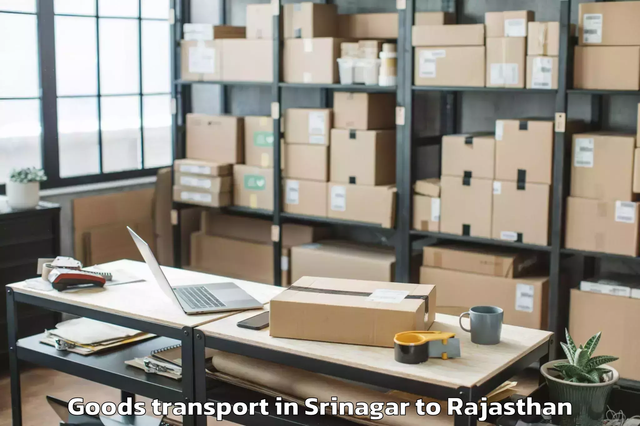 Leading Srinagar to Jahazpur Goods Transport Provider